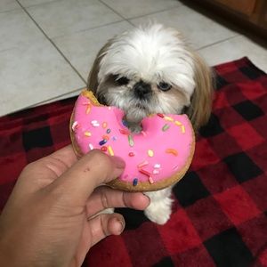 Meet your Posher, Tania